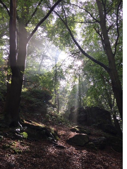 thérapeute énergétique